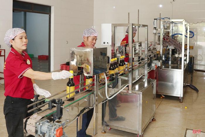 Hệ thống máy chiết rót và đóng chai tự động trị giá gần 1,2 tỷ đồng, giúp HTX Thu mua và Chế biến thủy hải sản Phú Khương (xã Kỳ Xuân) đồng bộ hóa quy trình sản xuất nước mắm đạt chuẩn OCOP 5 sao.