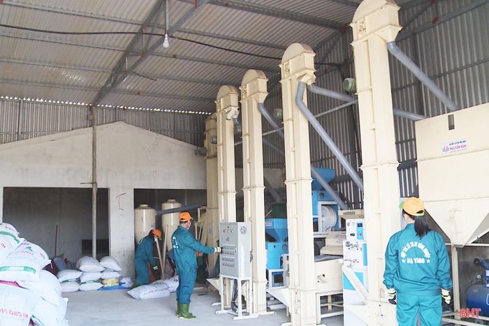 Hệ thống máy sấy lúa công suất lớn của HTX Thương mại, Dịch vụ Nông nghiệp Hạ Vàng được đầu tư với kinh phí gần 1 tỷ đồng.