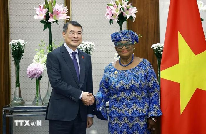 Thủ tướng Chính phủ Lê Minh Hưng tiếp bà Ngozi Okonjo-Iweala, Tổng Giám đốc Tổ chức Thương mại Thế giới (WTO). (Ảnh: Dương Giang/TTXVN)