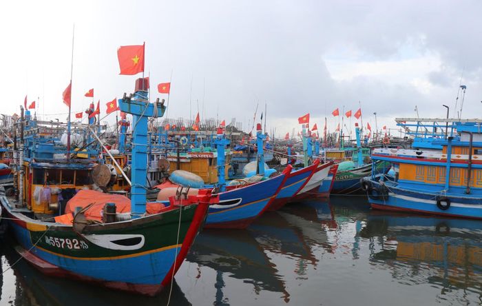 Ngư dân các xã bãi ngang đưa tàu đến neo đậu tránh trú khu vực cầu sông Trà Bồng xã Bình Sơn. Ảnh: Phạm Cường/TTXVN