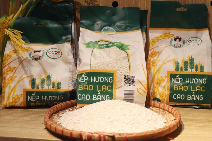 Gạo nếp hương Bảo Lạc được giới thiệu trên livestream