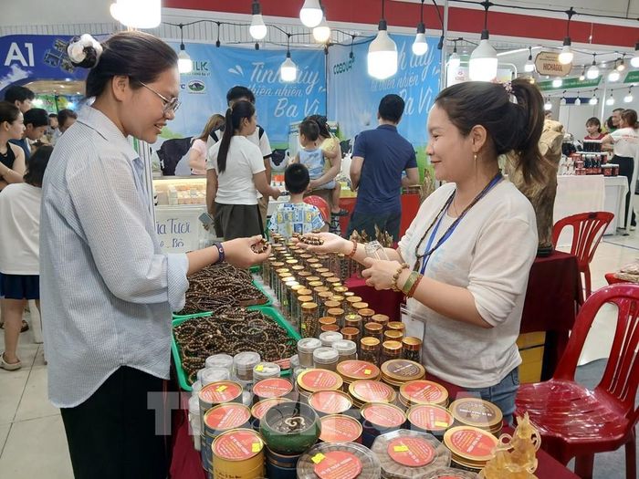 Các ngành hàng xuất khẩu chủ lực như dệt may, da giày, đồ nội thất cùng nhiều sản phẩm đặc trưng của Đà Nẵng có tiềm năng mở rộng thị trường qua kênh xuất khẩu trực tuyến. Ảnh: Mỹ Hà - TTXVN
