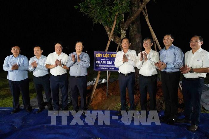 Phó Thủ tướng Thường trực Chính phủ Phạm Gia Túc trồng cây lưu niệm trong khuôn viên Nhà máy Nhiệt điện Ô Môn I. Ảnh: Thanh Liêm - TTXVN