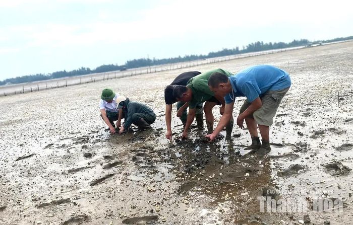 Cán bộ phường Ngọc Sơn cùng người dân kiểm tra thực địa.