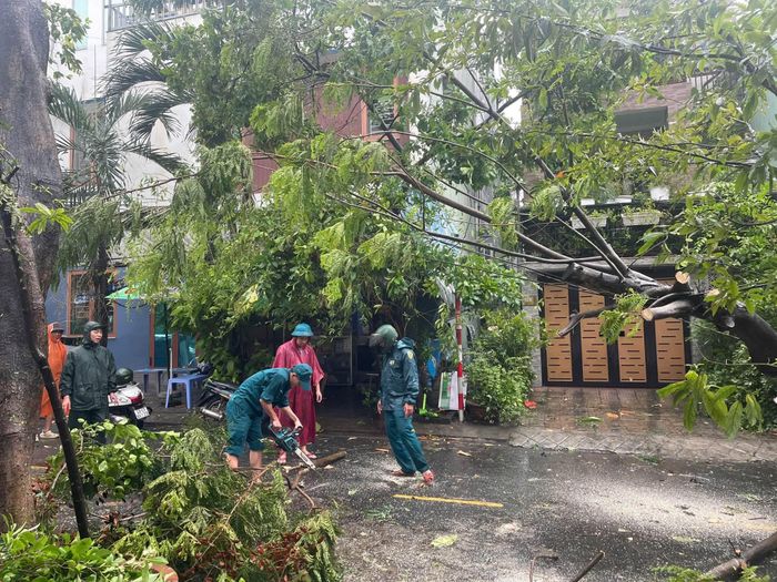 Lực lượng Dân quân thường trực phường Thanh Khê phối hợp với các lực lượng thu dọn cây xanh gãy đổ. Ảnh: ĐVCC
