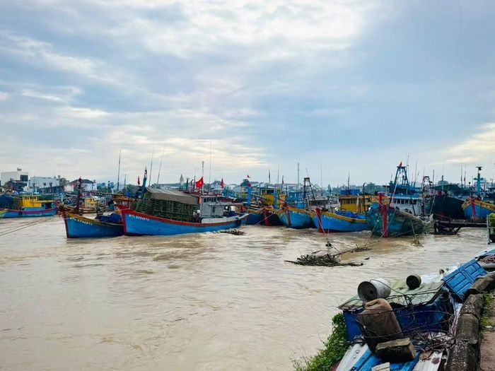 Những ngày qua, nước sông Dinh dâng cao, ngư dân đã chủ động chằn néo cẩn thận