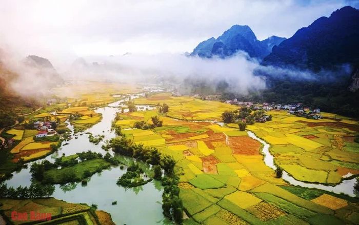 Dòng Quây Sơn uốn lượn giữa những cánh đồng lúa chín vàng, tạo nên bức tranh mùa thu thơ mộng nơi miền biên viễn.