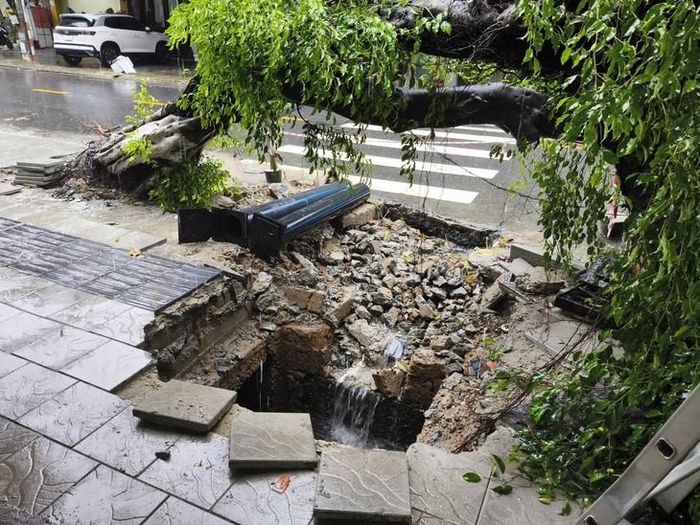 Đoạn vỉa hè bị hư hỏng sau khi cây xanh ngã đổ. Ảnh: Bích Vân