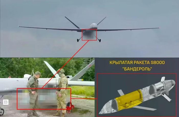 Dan-T sử dụng hệ thống định vị kết hợp (GNSS/INS). Tuy nhiên Tạp chí Jane's lại cho rằng tên lửa này thực chất là phiên bản xuất khẩu của S8000 Banderol, đang được sử dụng tích cực trên chiến trường Ukraine.