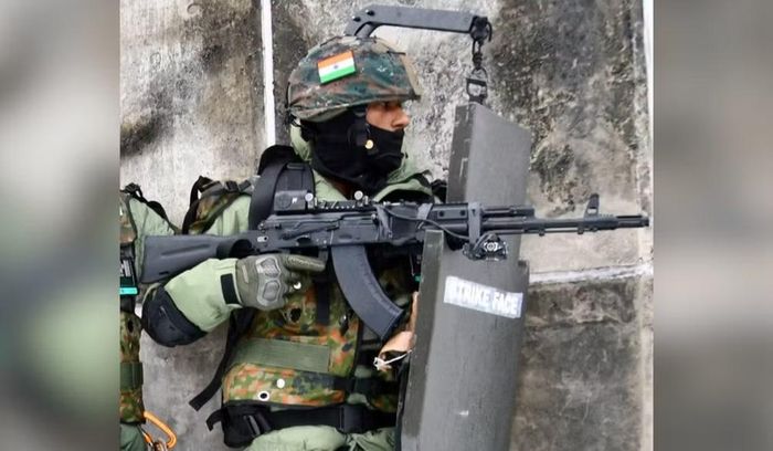 Trong tương lai, không loại trừ khả năng sau khi đã làm chủ công nghệ chế tạo AK-203, Ấn Độ sẽ tiến lên sử dụng dòng AK-15 tiên tiến hơn, vừa được Nga giới thiệu trong thời gian gần đây.