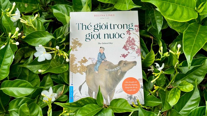 Sách Thế giới trong giọt nước 