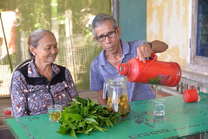 Chè được thu hái chủ yếu để bán, một phần được các gia đình giữ lại sử dụng