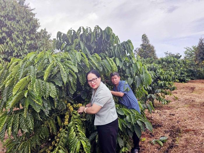 Kinh tế đô thị Pleiku tập trung vào nông nghiệp công nghệ cao và công nghiệp chế biến sâu