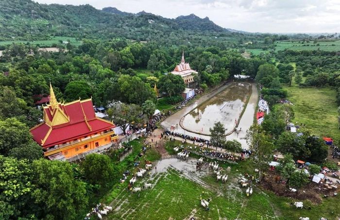 Toàn cảnh sân đua bò chùa Rô xã An Cư nhìn từ trên cao