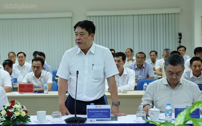 Các đại biểu phát biểu tại cuộc làm việc - Ảnh: chinhphu.vn/Phương Nguyên