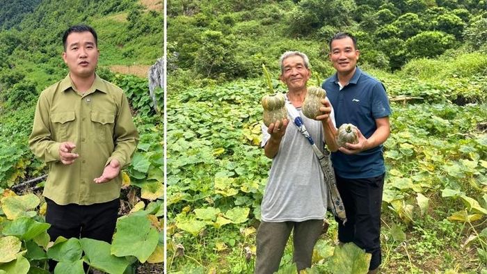 Bí thư Đảng ủy, Chủ tịch HĐND xã Vân Sơn Nguyễn Duy Tư giới thiệu nông sản của địa phương - Ảnh: NVCC