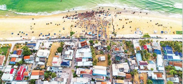 Khung cảnh làng chài Tam Tiến với chợ cá buổi sáng.