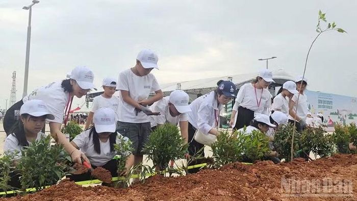 Giáo viên, học sinh ở phường Quảng Phú tham gia trồng cây xanh. (Ảnh: MAI LUẬN)