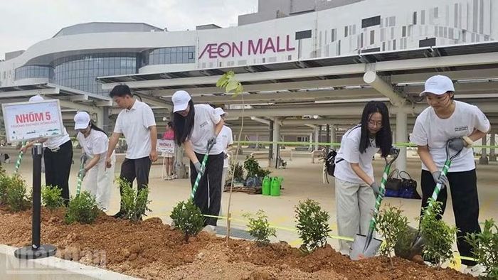 Sinh viên đại học Hồng Đức trồng cây trong khuôn viên Trung tâm thương mại Aeon Mall Thanh Hóa. (Ảnh: MAI LUẬN)