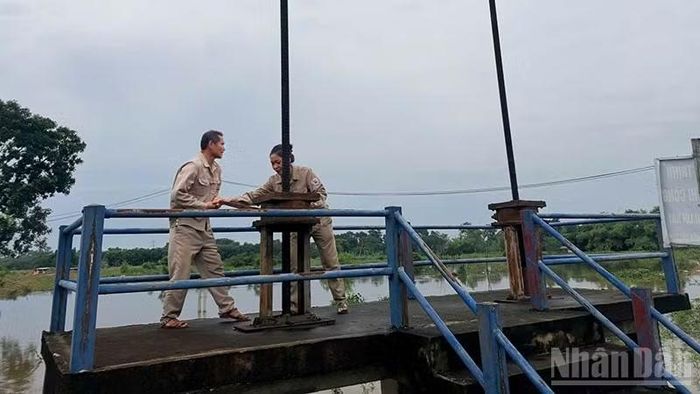 Nhân viên Công ty trách nhiệm hữu hạn một thành viên Sông Chu vận hành cống tiêu, thoát nước. (Ảnh: Mai Luận)