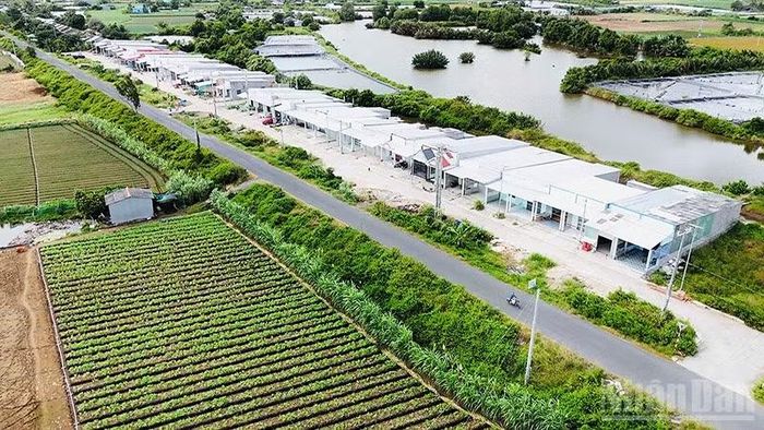 Người dân vùng sạt lở tại hai ấp Hồ Thùng, Đông Thành được di dời vào khu tái định cư ấp Hồ Thùng, xã Đông Hải. (Ảnh: MINH KHỞI)