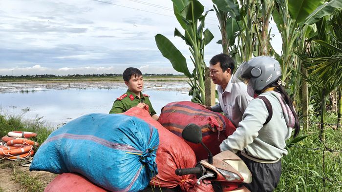  Việc huy động lực lượng hỗ trợ thu hoạch được địa phương triển khai khẩn trương, nhằm hạn chế thiệt hại và bảo vệ thành quả sản xuất của người dân trước diễn biến bất lợi của thời tiết. Ảnh: TRẦN PHƯỢNG 