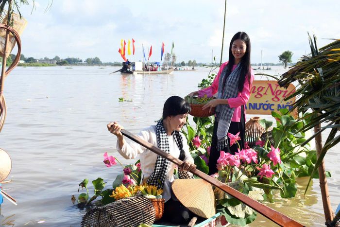  Trải nghiệm chèo xuồng trên cánh đồng Đồng Tháp Mười mùa nước nổi 