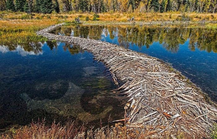 Ảnh: pitchstonewaters