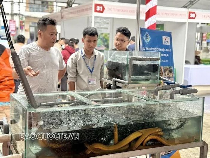 Thông qua việc tham gia chương trình, JICA mong muốn tăng cường sự hiểu biết và gắn kết giữa nhân dân hai nước, đồng thời giới thiệu rộng rãi hơn các thành quả hợp tác Việt Nam - Nhật Bản vì sự phát triển bền vững của thành phố Cần Thơ và khu vực Đồng bằng sông Cửu Long.