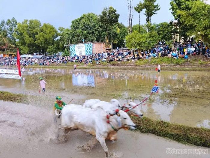 Cuộc thi diễn ra trong không khí nhộn nhịp, phấn khởi.