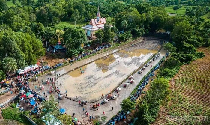 Toàn cảnh hội thi từ trên cao.