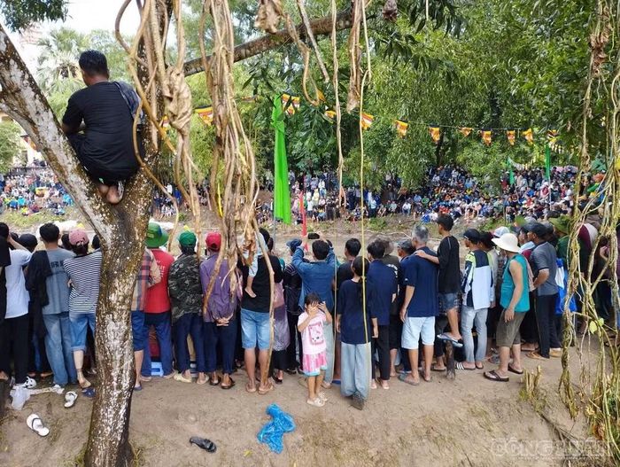 Người dân tập trung đông coi đua bò.