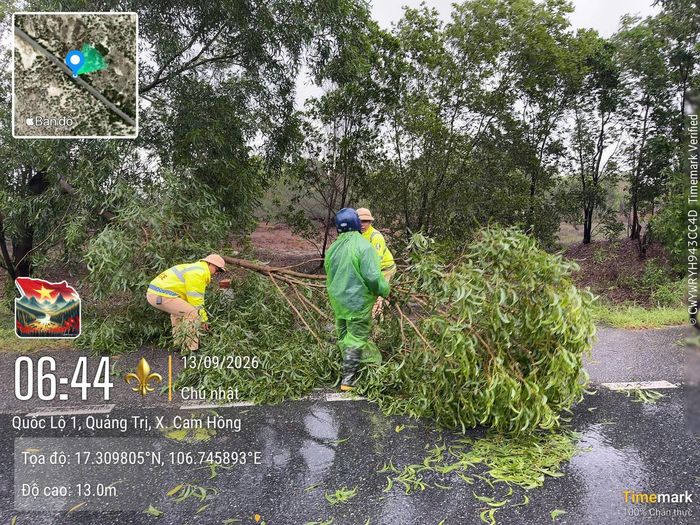 CSGT Công an tỉnh Quảng Trị cùng người dân cưa, dọn cây xanh gãy đổ, giải phóng mặt đường. (Ảnh: CSGT Quảng Trị)