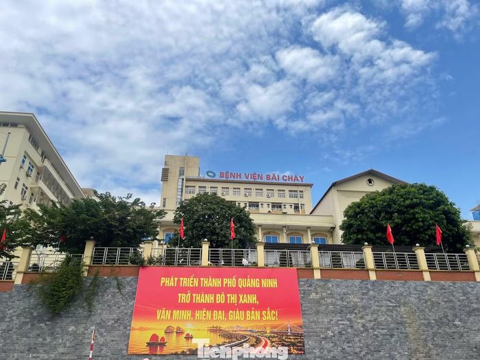 12 hồ sơ do Bệnh viện Bãi Cháy trực tiếp tổ chức lựa chọn nhà thầu Việt Mỹ gồm 11 gói trúng và 1 gói bị hủy.