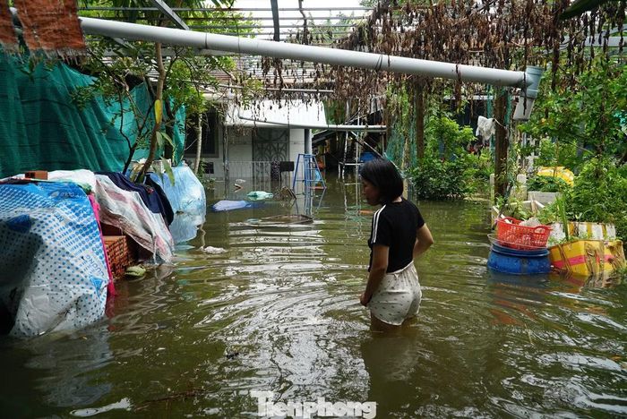  Nước ngập kéo dài từ tối 10/9 đến sáng 11/9 mới cơ bản rút, khiến người dân gặp nhiều khó khăn. ﻿ Ảnh: Nguyễn Tiến 