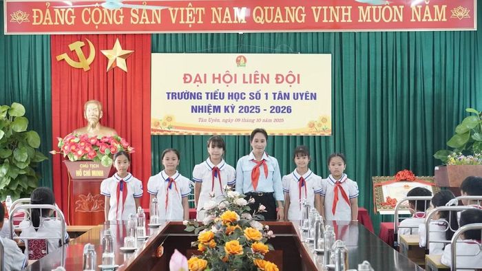 Đại hội có thể tổ chức theo hình thức toàn thể đội viên hoặc đại biểu, tùy quy mô và điều kiện thực tế.