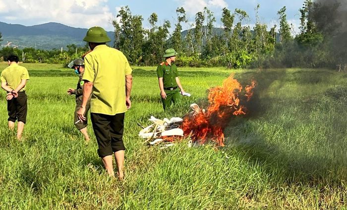 Lực lượng chức năng các xã, phường trên địa bàn toàn tỉnh đã đồng loạt ra quân thực hiện đợt cao điểm để làm sạch địa bàn, bảo vệ chim di cư.