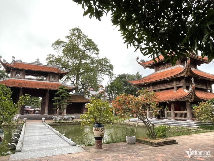 Hoa nở trong sân chùa - một nhịp sống mềm mại giữa không gian thấm đẫm khói hương.