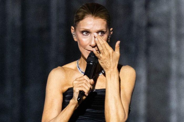 Celine Dion lau nước mắt trên sân khấu Paris ngày 12/9. Ảnh: Samir Hussein/WireImage