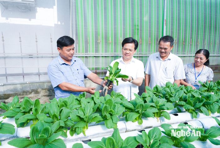 Cán bộ xã Đức Châu khảo sát mô hình trồng rau thuỷ canh trên địa bàn. Ảnh: Mai Hoa