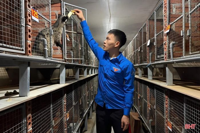 Nhiều mô hình kinh tế thanh niên Hà Tĩnh tiên phong áp dụng khoa học kỹ thuật, đưa lại hiệu quả cao.