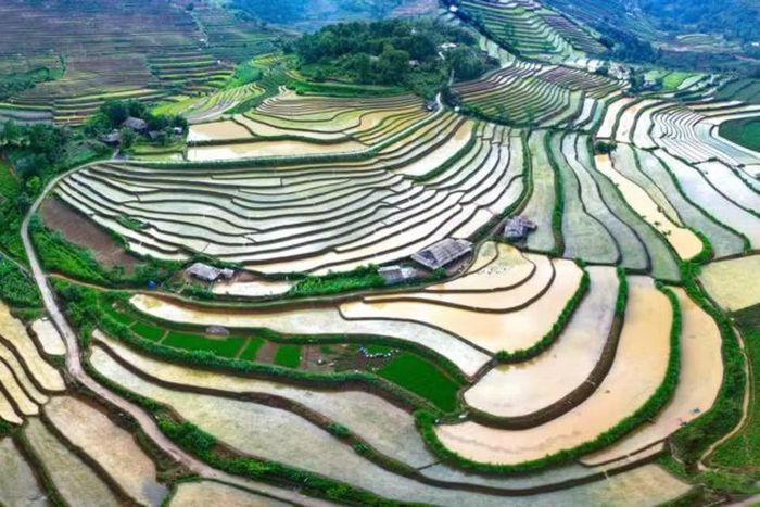 Một cung đường thi đấu. (Nguồn: Ban tổ chức)