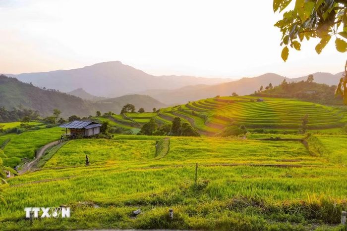 Những thửa ruộng trải theo triền núi, xen giữa là các lối đi và căn chòi nhỏ, tạo nên vẻ bình dị của vùng quê Pu Nhi. (Ảnh: Xuân Tư/TTXVN)