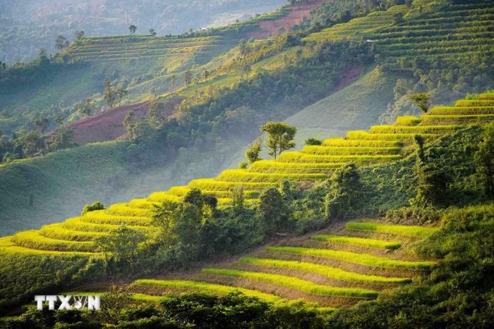 Ruộng bậc thang tầng tầng, lớp lớp theo sườn núi. (Ảnh: Xuân Tư/TTXVN)