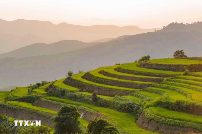 Ánh nắng chiếu xuống những thửa ruộng bậc thang, làm nổi bật các đường cong và từng lớp ruộng trên sườn đồi Pu Nhi. (Ảnh: Xuân Tư/TTXVN)