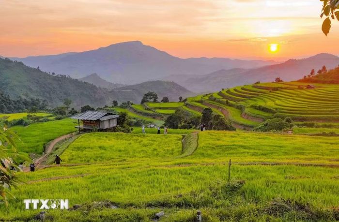 Ánh chiều phủ xuống những thửa ruộng bậc thang Pu Nhi tạo nên khung cảnh mộc mạc, bình yên. (Ảnh: Xuân Tư/TTXVN)