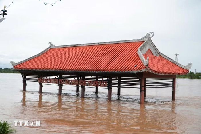Đến 20 giờ ngày 13/9, lũ trên sông Thạch Hãn tại trạm Thạch Hãn là 6,37m trên báo động 3 là 0,37m. (Ảnh: TTXVN phát)