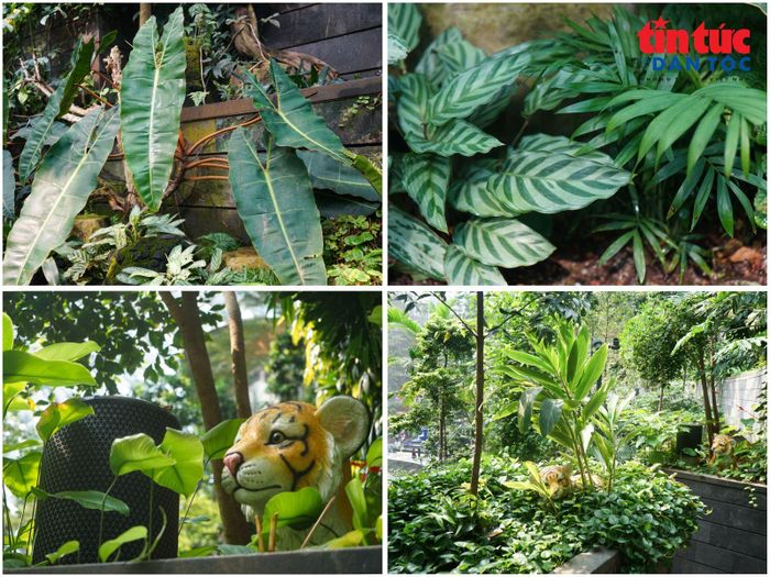 Bao quanh thác là hệ sinh thái xanh với khoảng 2.500 cây xanh và 100.000 bụi cây, tạo nên không gian tựa một khu rừng nhiệt đới thu nhỏ giữa sân bay.