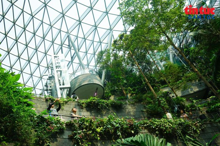 Những lối đi giữa khu vườn xanh mở ra nhiều góc nhìn khác nhau về thác nước...