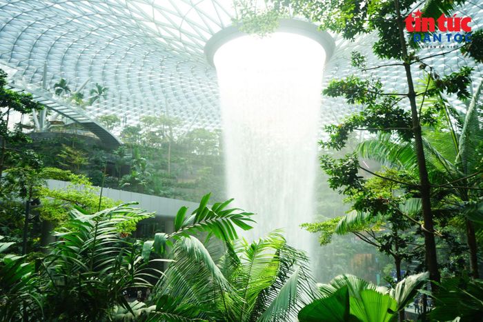 Được thiết kế theo hình dáng như một chiếc phễu khổng lồ, Rain Vortex không chỉ mang giá trị kiến trúc mà còn gắn với giải pháp phát triển bền vững.